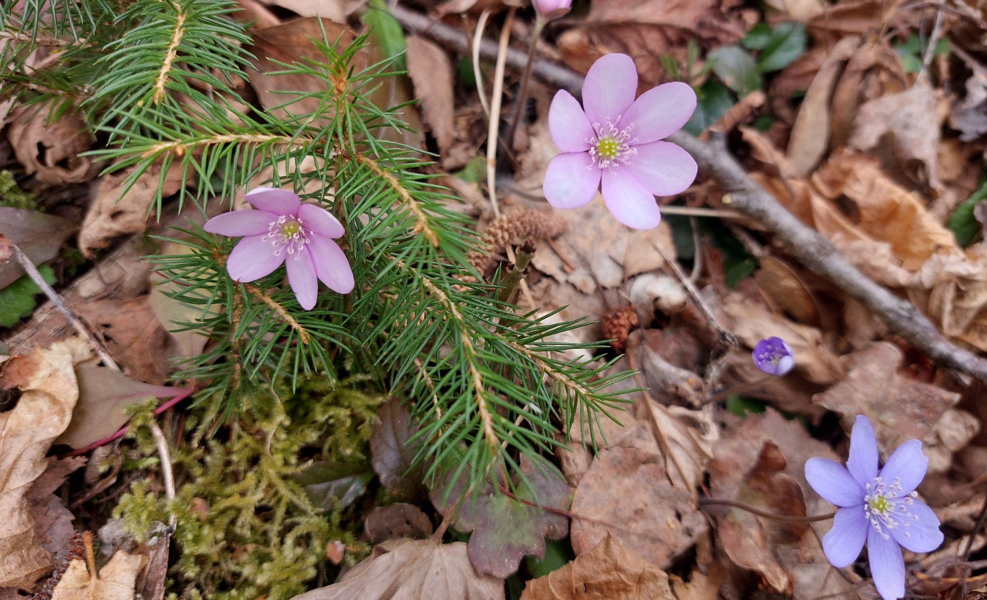 Slide 1 Slide background